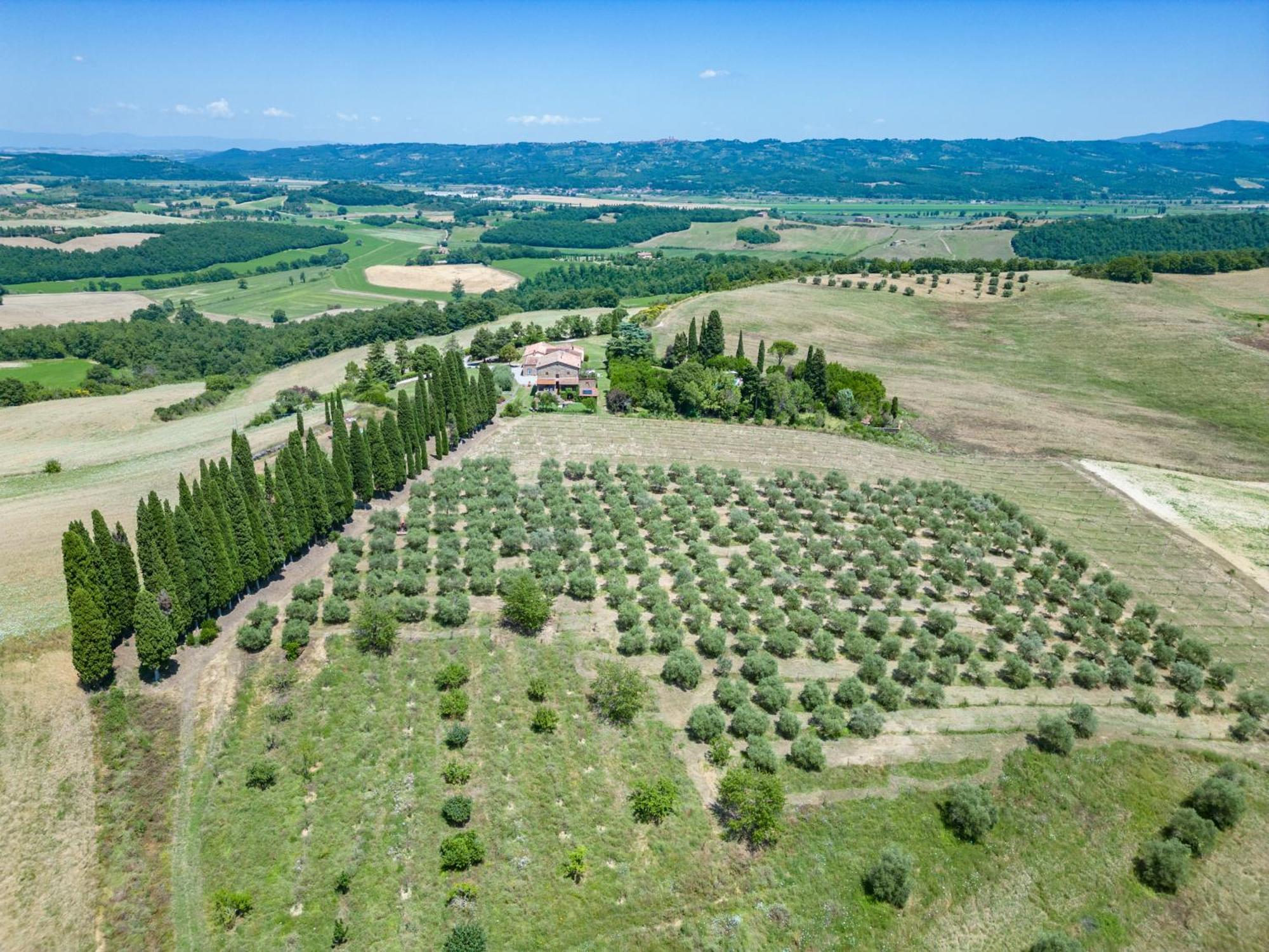 Spazzavento Palazzone
