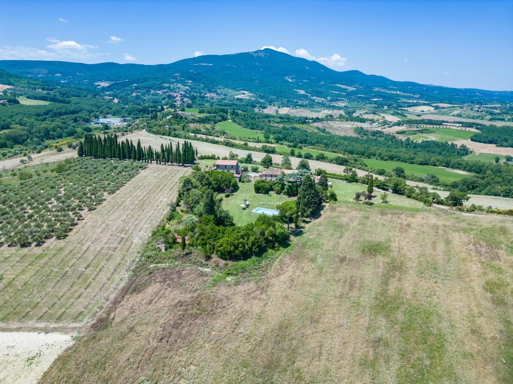 Spazzavento * Palazzone