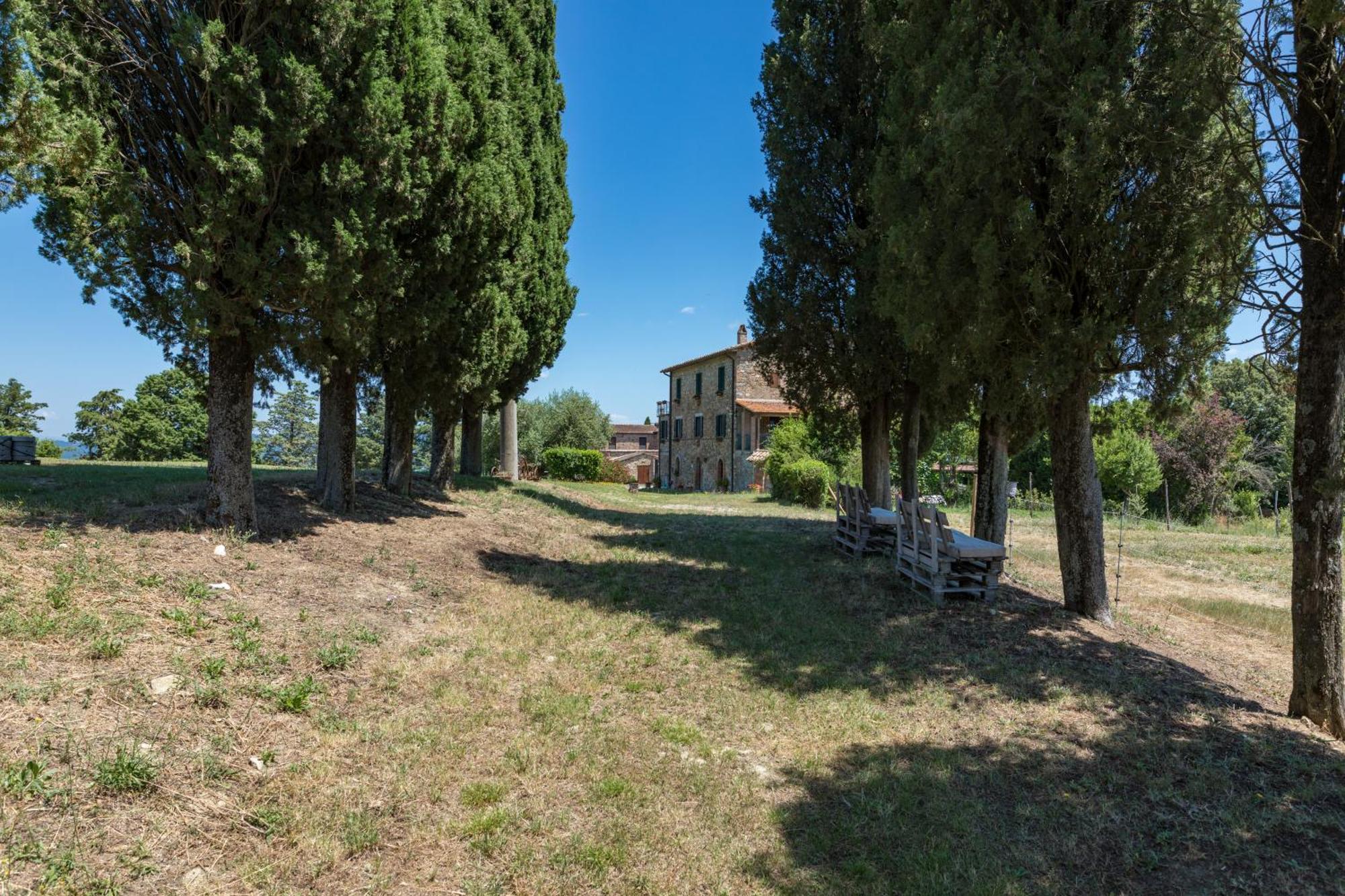 Spazzavento