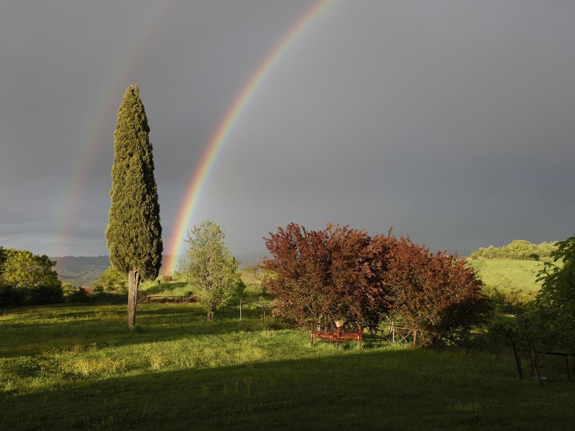 Spazzavento